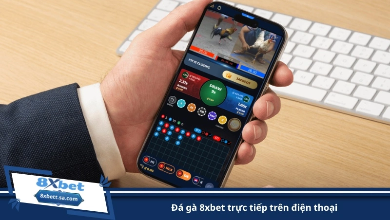 đá gà 8xbet trực tiếp trên điện thoại