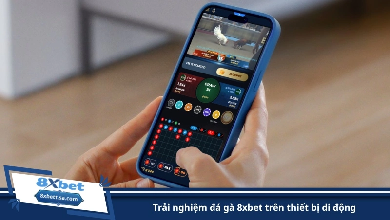 trải nghiệm đá gà 8xbet trên thiết bị di động